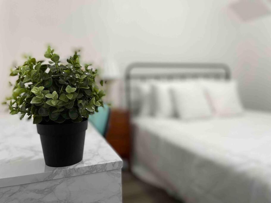 Appartement Sleeps 3, Cozy, Boho Style, In The Heart Of Miami -Free Parking Extérieur photo