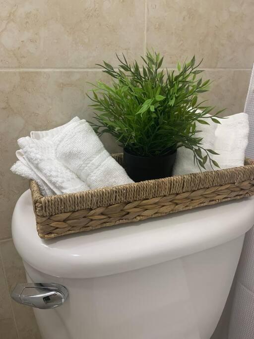 Appartement Sleeps 3, Cozy, Boho Style, In The Heart Of Miami -Free Parking Extérieur photo